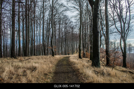 Tél a Börzsönyben-stock-foto