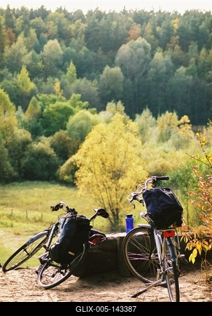 Berliner Forst Grunewald, Berlin-stock-foto