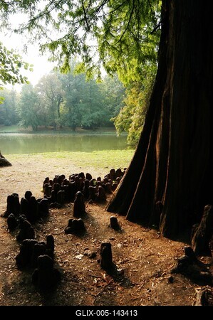 Brunszvik-kastély parkja, Martonvásár-stock-foto