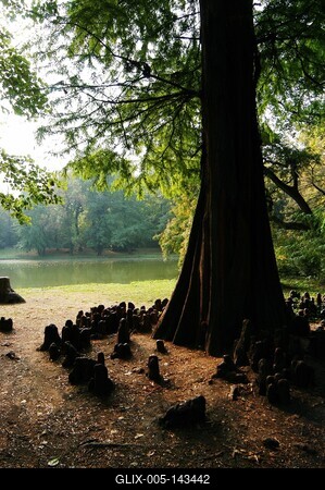 Brunszvik-kastély parkja, Martonvásár-stock-foto