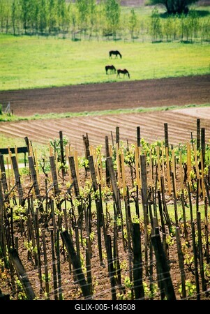 Hévíz - Egregy-stock-foto