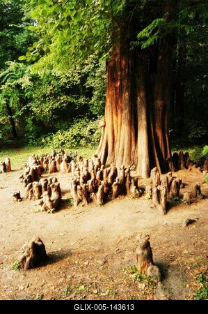 Brunszvik-kastély parkja, Martonvásár-stock-foto