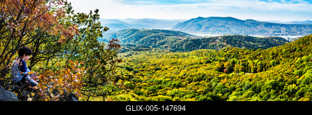 Wass Albert-emlékkő-stock-foto