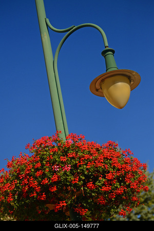 Kandeláber muskátlival Budaörsön-stock-foto