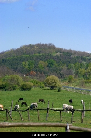 Salföldi Majorság a Káli medencében-stock-foto