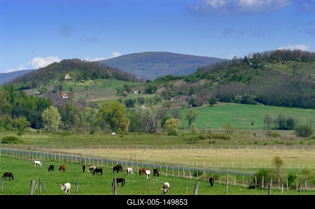 Salföldi Majorság a Káli medencében-stock-foto