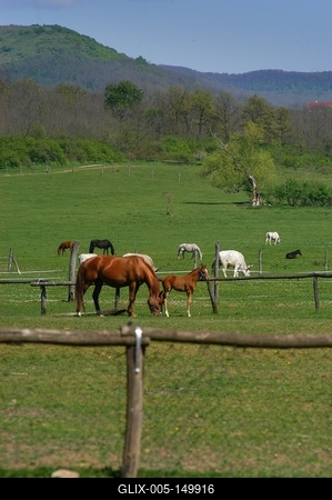 Salföldi Majorság a Káli medencében-stock-foto