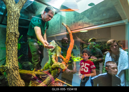 Pécs, az Állatkert-stock-foto