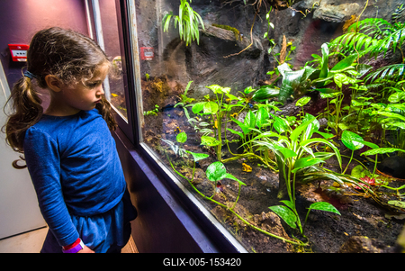 Pécs, az Állatkert-stock-foto