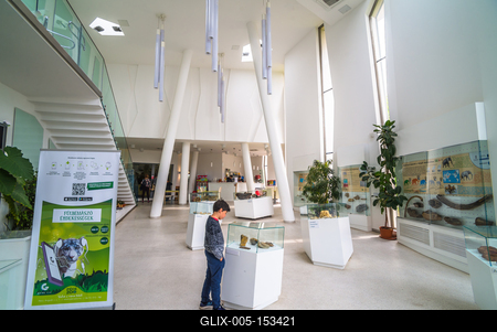 Pécs, az Állatkert-stock-foto