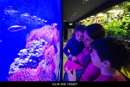 Pécs, az Állatkert-stock-foto