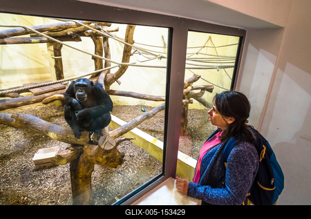 Pécs, az Állatkert-stock-foto