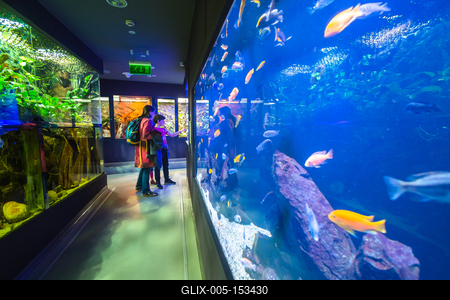 Pécs, az Állatkert-stock-foto