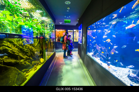 Pécs, az Állatkert-stock-foto