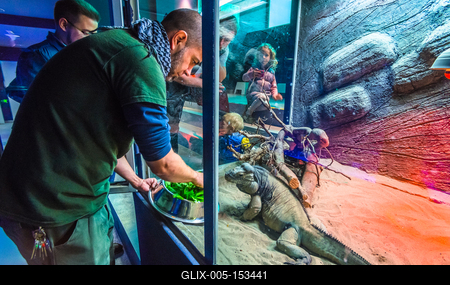 Pécs, az Állatkert-stock-foto