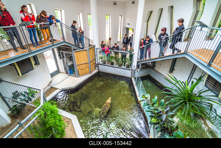 Pécs, az Állatkert-stock-foto