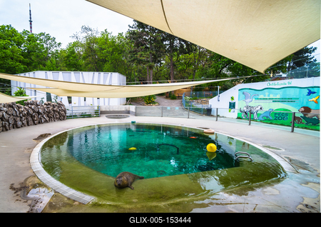 Pécs, az Állatkert-stock-foto