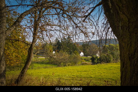 Vérteskozma-stock-foto