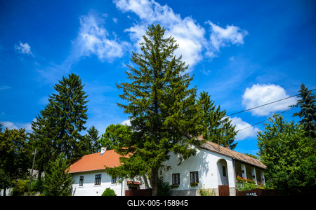 Vérteskozma-stock-foto