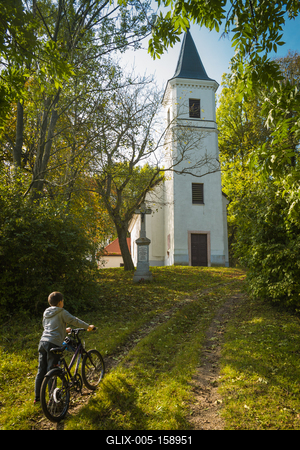 Vérteskozma-stock-foto