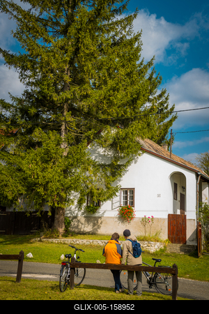 Vérteskozma-stock-foto