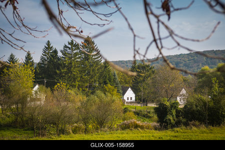 Vérteskozma-stock-foto