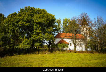 Vérteskozma-stock-foto