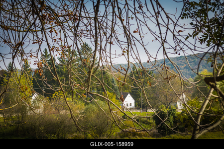 Vérteskozma-stock-foto