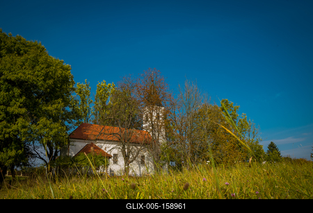 Vérteskozma-stock-foto