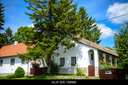 Vérteskozma-stock-foto