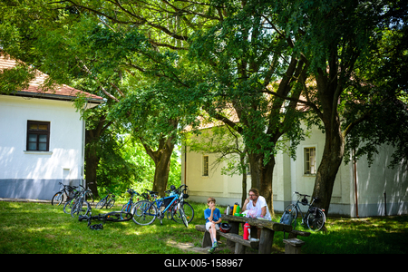 Vérteskozma-stock-foto