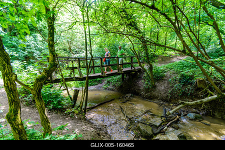 Paprikás-patak, Solymár-stock-foto
