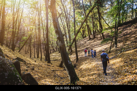 Őszi erdő a Velencei-hegységben-stock-foto