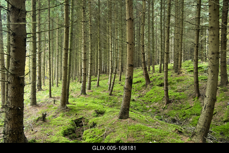 A Hársastó és környéke, Szentgotthárd-stock-foto