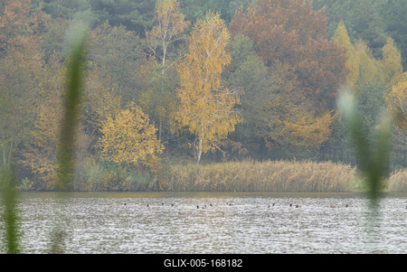 A Hársastó és környéke, Szentgotthárd-stock-foto