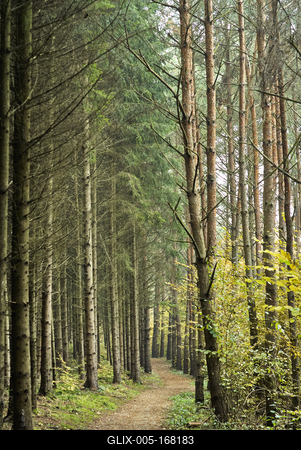 A Hársastó és környéke, Szentgotthárd-stock-foto