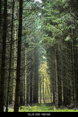 A Hársastó és környéke, Szentgotthárd-stock-foto