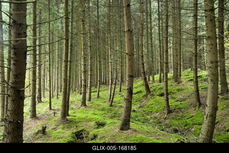 A Hársastó és környéke, Szentgotthárd-stock-foto