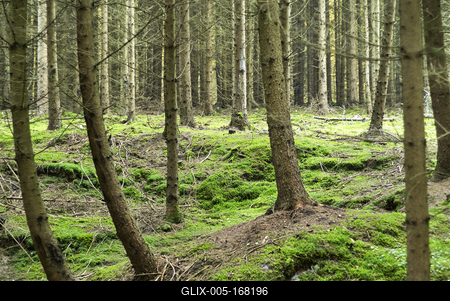 A Hársastó és környéke, Szentgotthárd-stock-foto