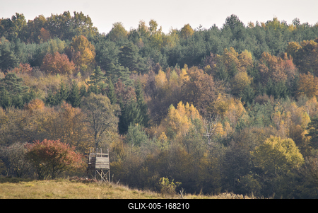 Őszi erdő az Örségben-stock-foto