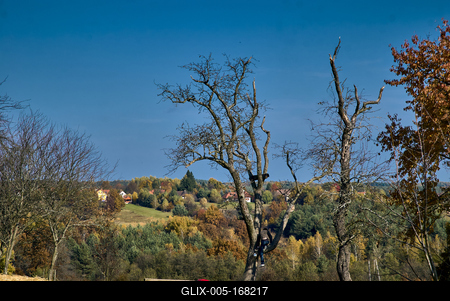 Szalafő, Pityerszer-stock-foto