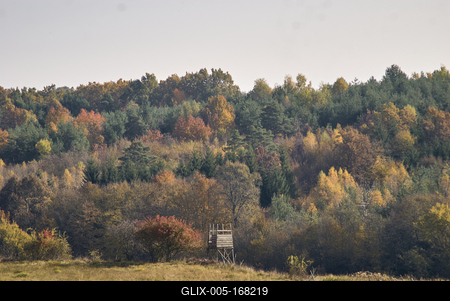 Őszi erdő az Örségben-stock-foto