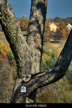 Szalafő, Pityerszer-stock-foto