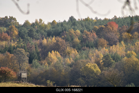 Őszi erdő az Örségben-stock-foto