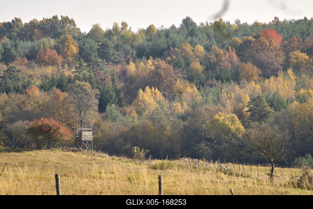 Őszi erdő az Örségben-stock-foto