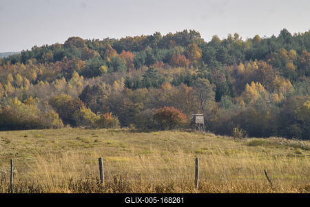 Őszi erdő az Örségben-stock-foto