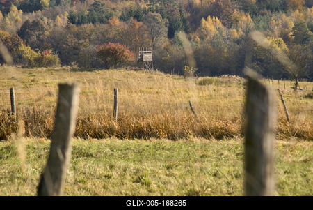 Őszi erdő az Örségben-stock-foto