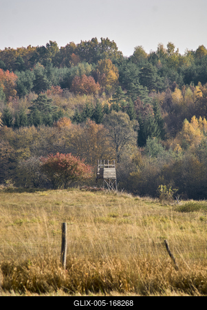 Őszi erdő az Örségben-stock-foto
