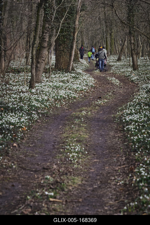 Alcsúti Arborétum-stock-foto
