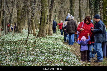 Alcsúti Arborétum-stock-foto